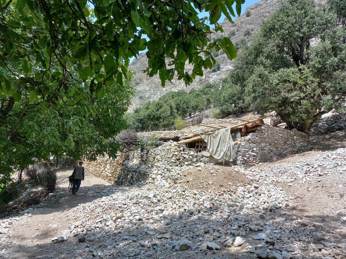 Landslide (loose earth)