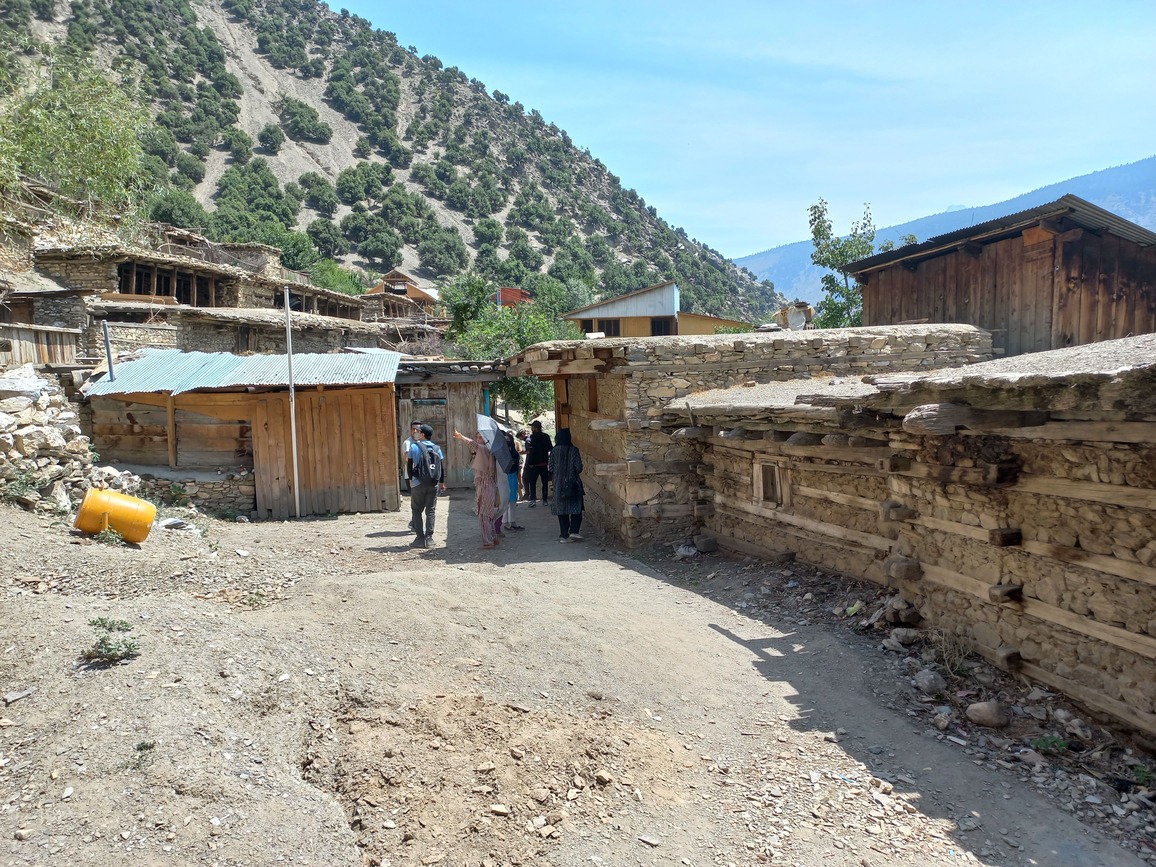 Anish village vernacular houses