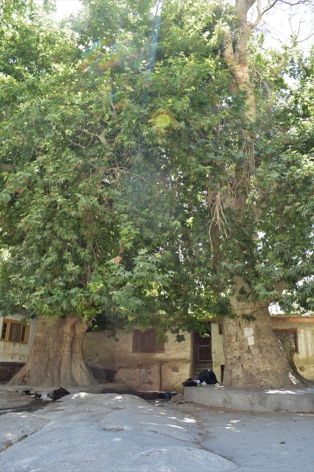 Hltanos (boulder platform)