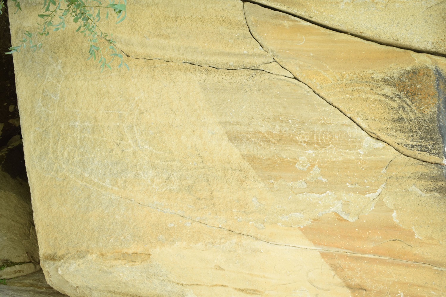 Bodhiphha (Son of Buddha)/Buddha rock