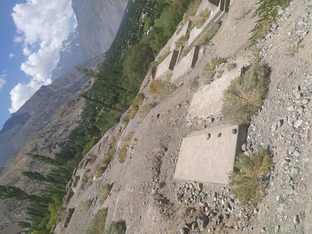 Sandi graves(lobadung)